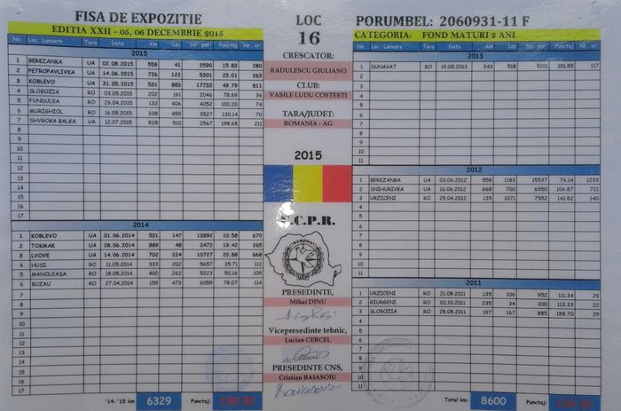 2060931-11-f fond palmares