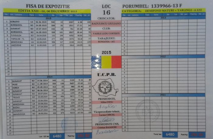 1339966-13-f demifond palmares