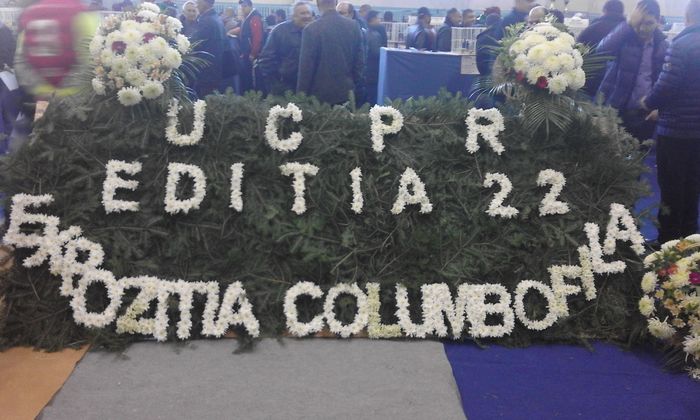 EXPO UCPR 2015