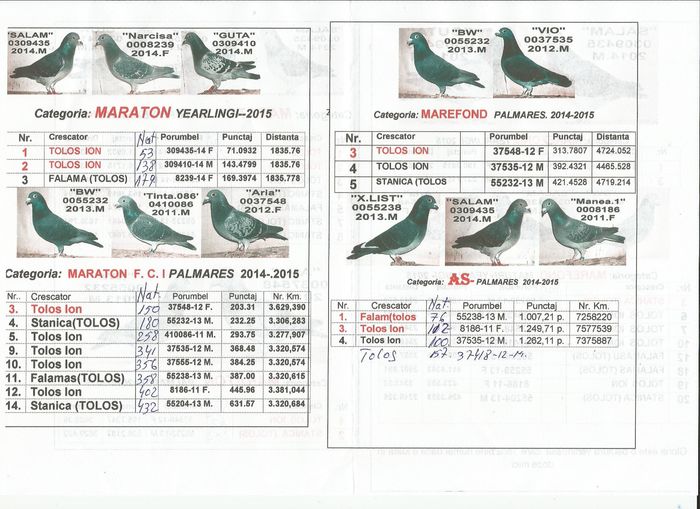 MARATON FCI-AS-MAREFOND-MARATON - C 2015 CATALOG PERSONALIZAT