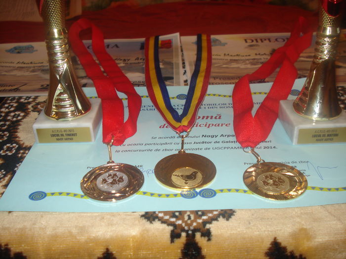 DSC03945 - diplome medalii cupe 2014 2015 2016 2017 La Jucători de Galați pentru Joc și Zbor