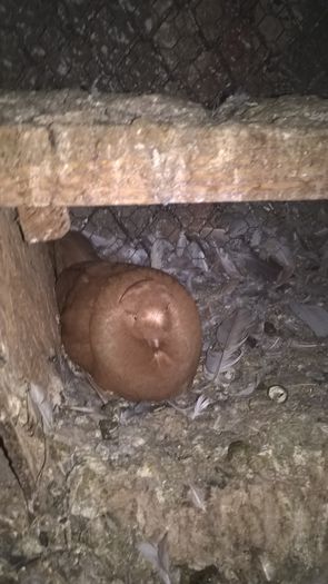 WP_20151208_20_22_51_Pro