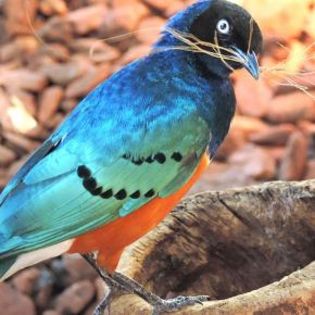 673621_d978131b2306fa31fd3df06db3f2ac45_mdsq