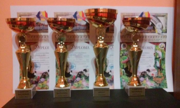 Absolut,gaina,cocos si colectie - 06 SUSSEX-  2015-2016