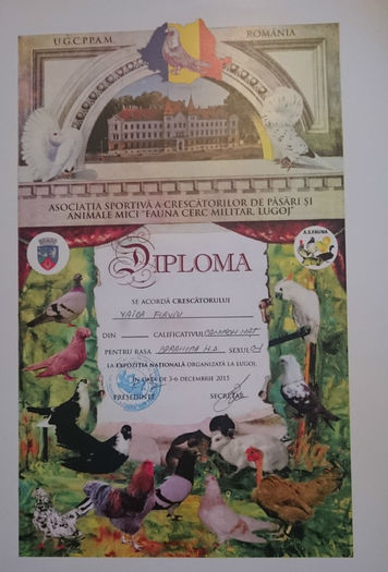 DIPLOMA BHD FEMELA - REZULTATE EXPOZITIA NATIONALA LUGOJ 03-06 12 2015