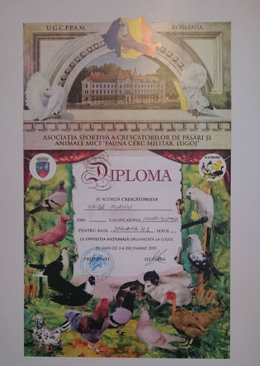 DIPLOMA BHD COLECTIE - REZULTATE EXPOZITIA NATIONALA LUGOJ 03-06 12 2015