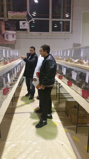 Desemnam Campionii la Galateni - S-Expozitie Nationala a Romaniei Lugoj 2015