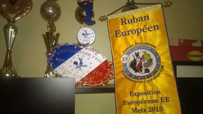 Dublu Campion European Metz 2015 - A 0 CONTACT 0741057585