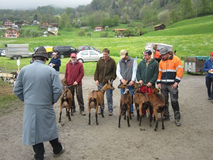 Alpine Franceze frumoase