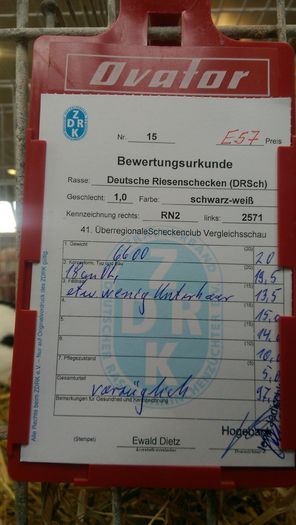47