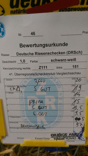 61