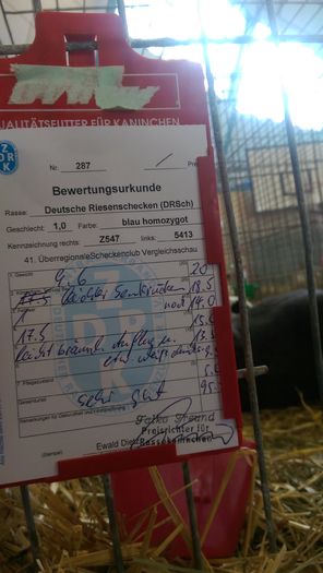 82