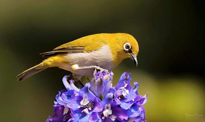  - FRUMUSETI  MONDIALE