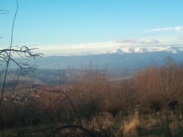 cache_0000014a81aca3cb115