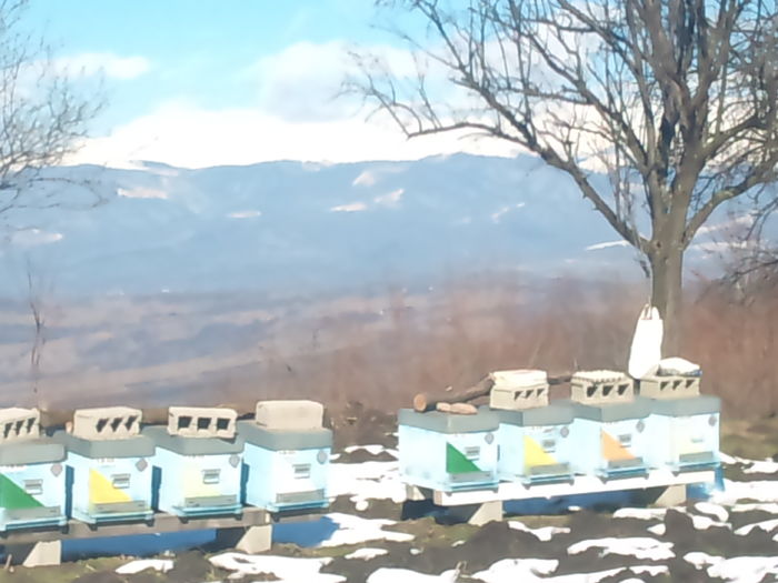 10-15 km in linie dreapta muntele