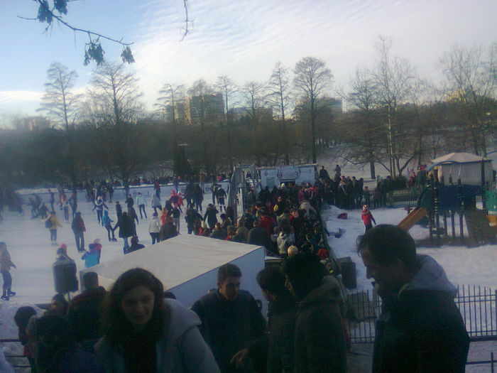 Fotografie1784 - PARCUL IOR IANUARIE 2015