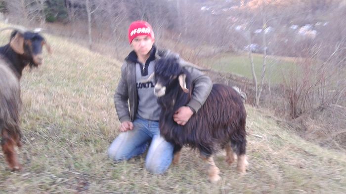 20151201_153813 - Caprele