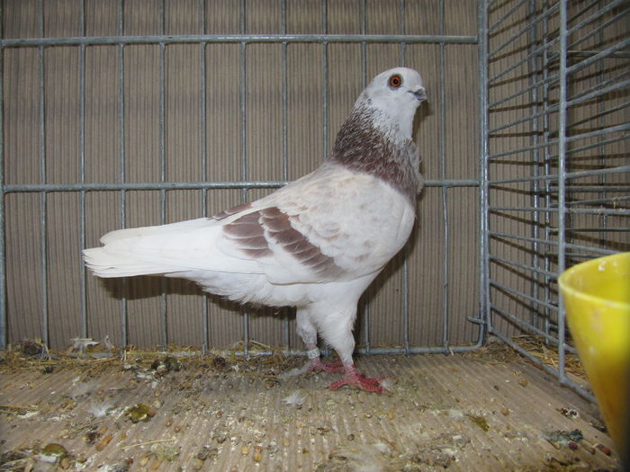 Leipzig 2015 196 - Expo Leipzig 2015