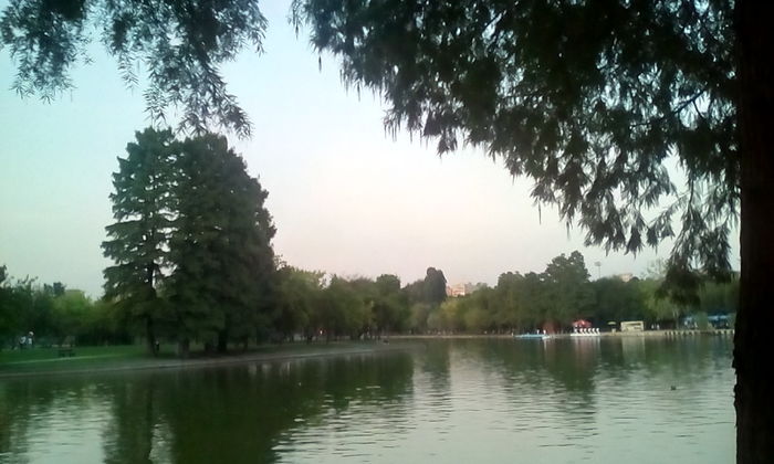 IMG_20150828_195234_1