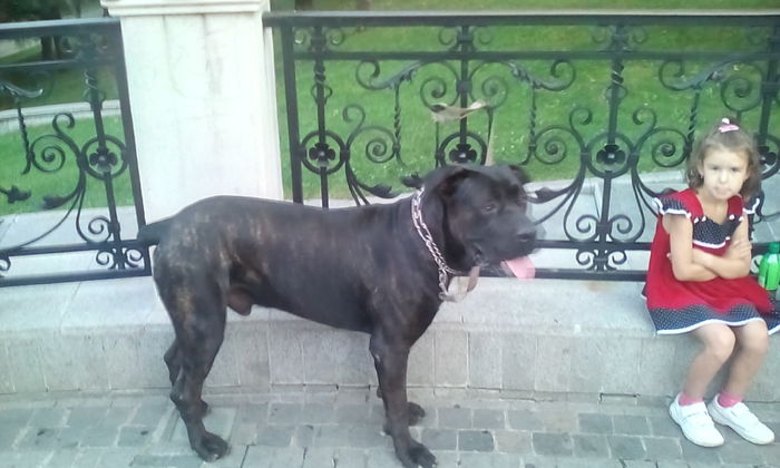 IMG_20150828_190857_1