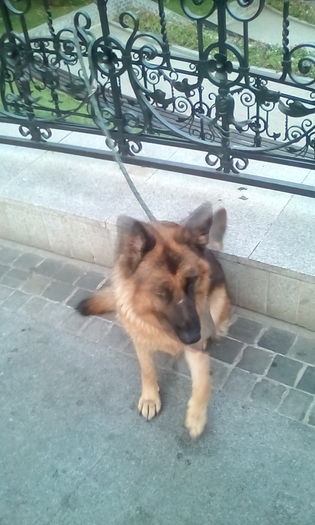 IMG_20150828_190609_1