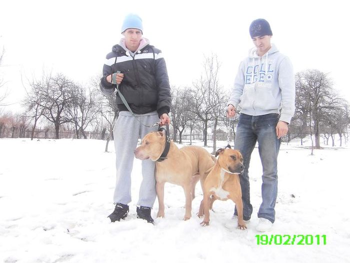 6e7afadf3469131fd6c42c8cae330b1d74f466c0