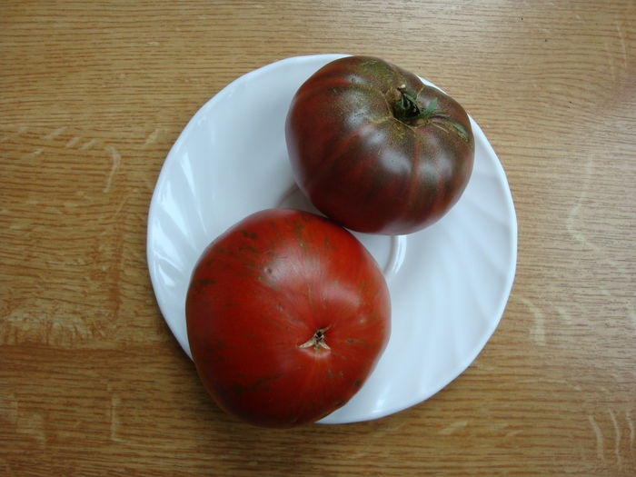 soi  'black krim' - Solanum lycopersicum