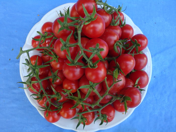 soi 'Cherry' - Solanum lycopersicum