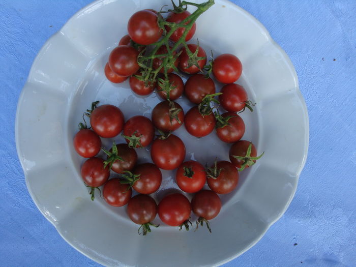 soi 'cherry black' - Solanum lycopersicum