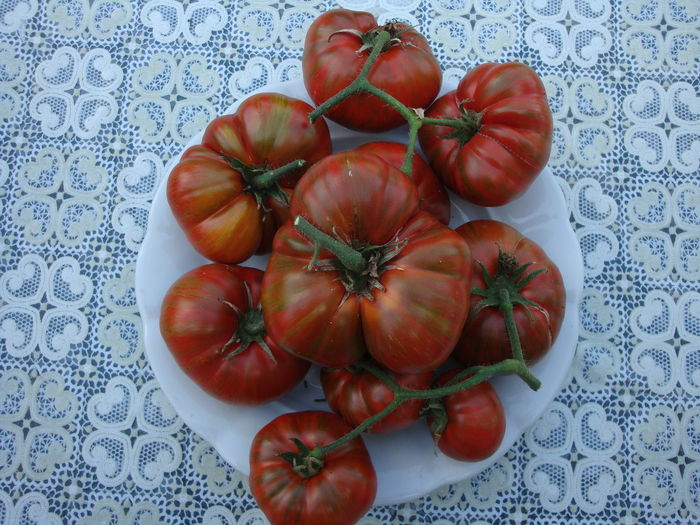 soi 'chocolate stripes' - Solanum lycopersicum