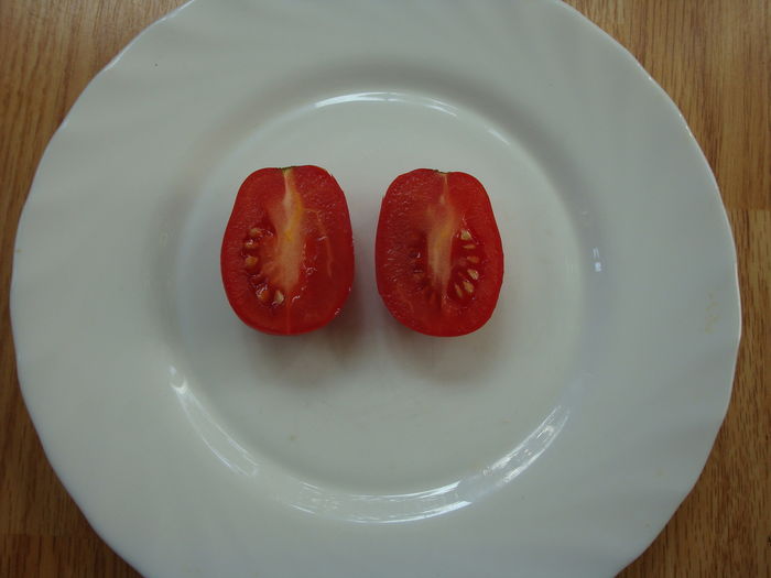 soi 'Tiny Tim' - Solanum lycopersicum