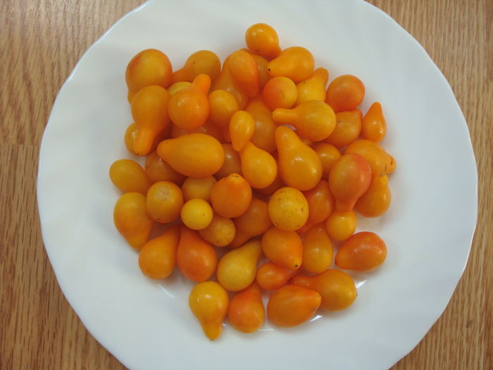 soi 'Yellow Pearshaped' - Solanum lycopersicum