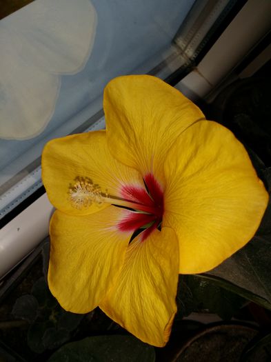 20151211_112408