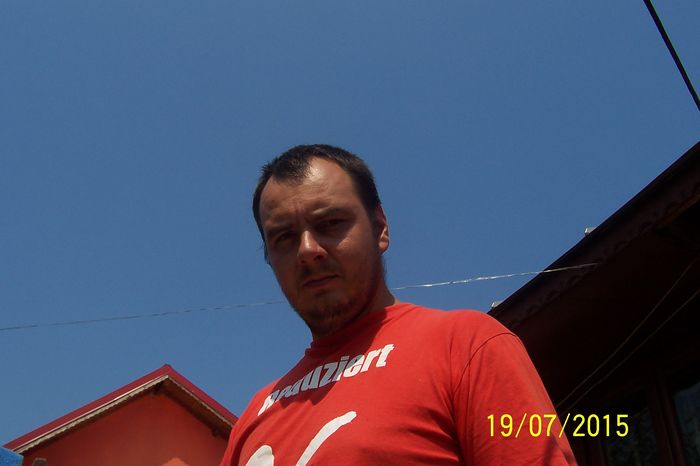 100_1479 - floarea soarelui 2015