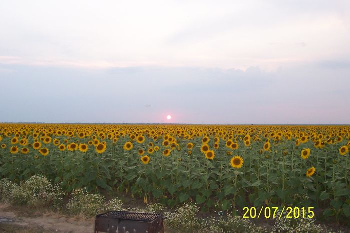 100_1504