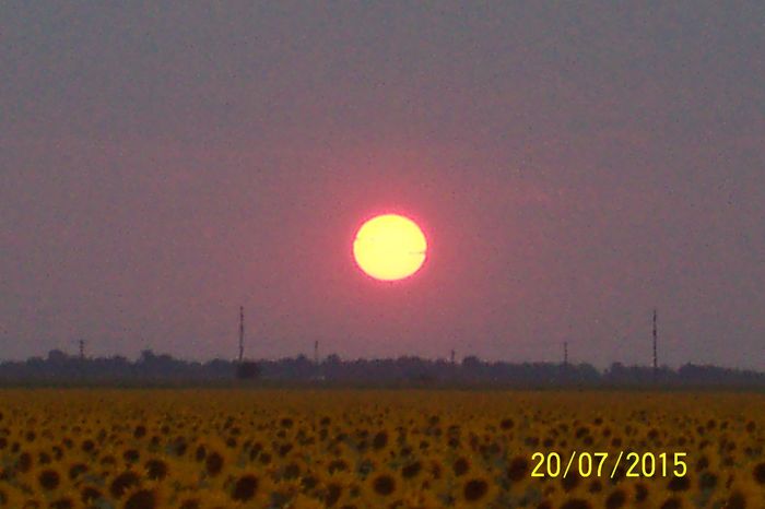 100_1506