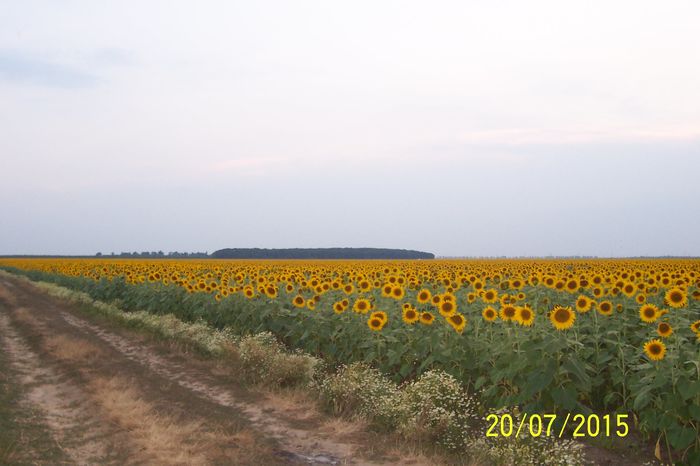 100_1507