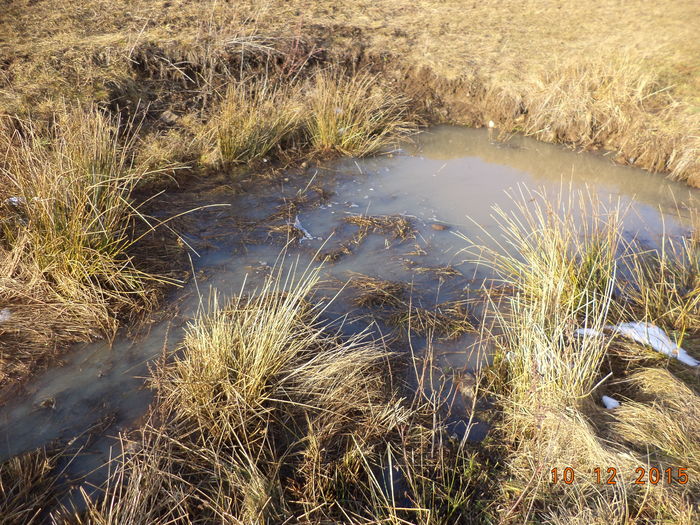 Apa rezultata din ploi