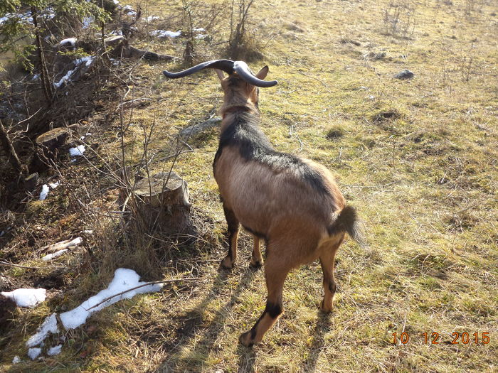 Atent la pasarele-3dp