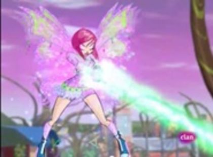 The-Winx-Club-image-the-winx-club-36244422-185-137