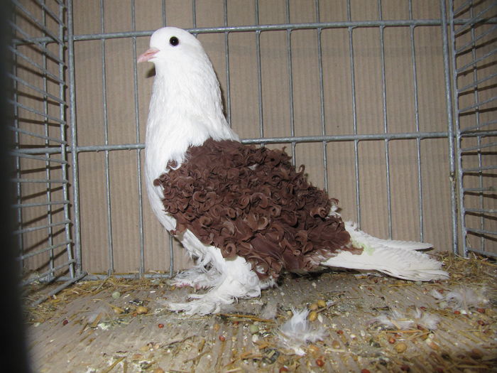 Leipzig 2015 238 - Expo Leipzig 2015