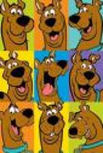 imagesCAM00YXW - Scooby-Doo