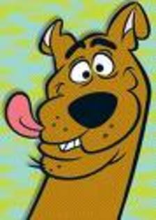 imagesCAZ4P19D - Scooby-Doo