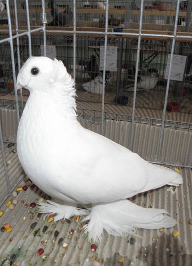 PC050098