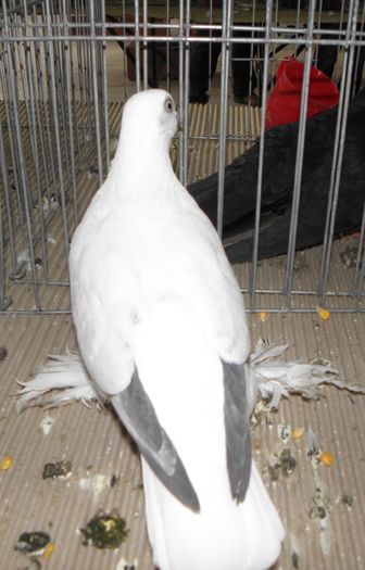 PC050142