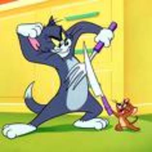 images[10] (3) - Tom si Jerry