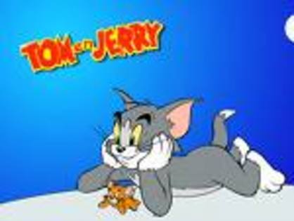 imagesCA3W3W9F - Tom si Jerry