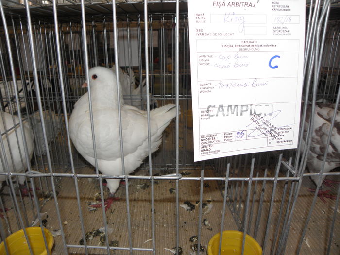 PC050203