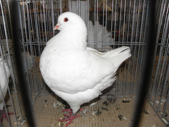 PC050204