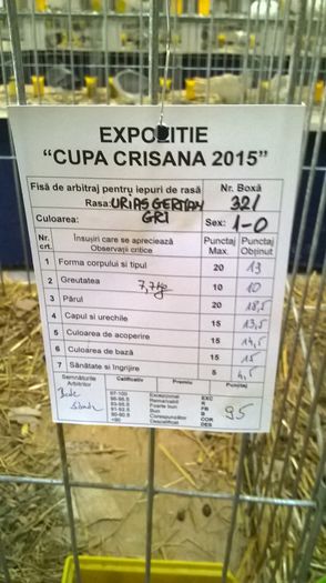 Fisa de arbitraj 95 Puncte - Expozitia Oradea Cupa Crisana Editia a II 11-13 decembrie 2015